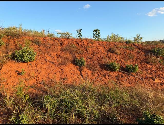 833M² VACANT LAND FOR SALE IN SEATON ESTATE
